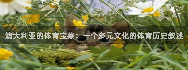澳大利亚的体育宝藏：一个多元文化的体育历史叙述