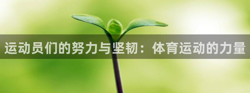 运动员们的努力与坚韧：体育运动的力量
