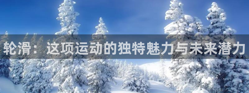 轮滑：这项运动的独特魅力与未来潜力