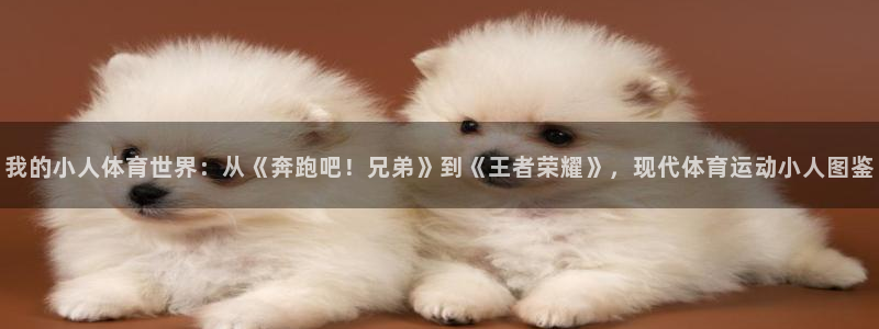 我的小人体育世界：从《奔跑吧！兄弟》到《王者荣耀》，现代体育运动小人图鉴