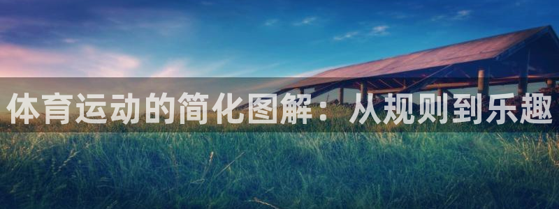 体育运动的简化图解：从规则到乐趣