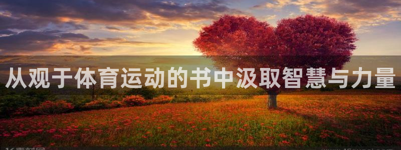 从观于体育运动的书中汲取智慧与力量