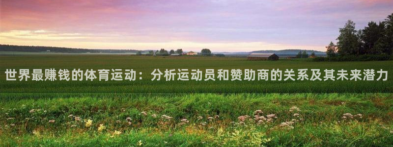 世界最赚钱的体育运动：分析运动员和赞助商的关系及其未来潜力