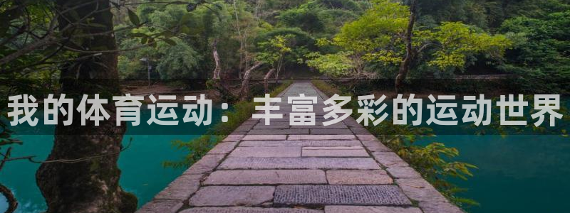 我的体育运动：丰富多彩的运动世界